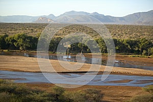 Aerial photos of river and Lewa Conservancy in Kenya, Africa photo