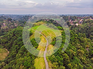 Aerial picture of Campuhan Ridge Walk , Scenic Green Valley in Ubud Bali. Photo from the drone