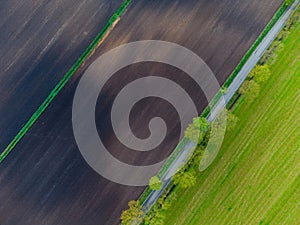 Aerial picture of grassland and arable land with trees in between