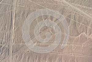 Aerial Picture of the Pelican Geoglyph and a Phytomorphic Glyph - Nazca Lines, Peru