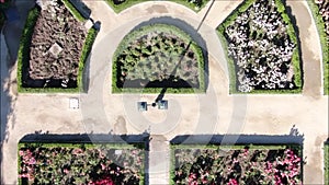 Aerial picture of a rose garden at a park