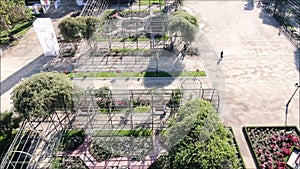 Aerial picture of a rose garden at a park