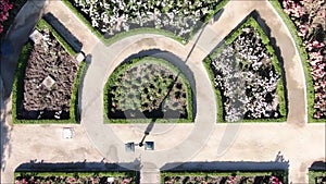 Aerial picture of a rose garden at a park