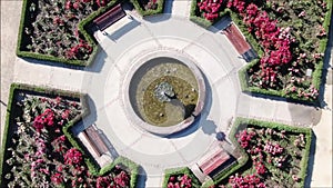 Aerial picture of a rose garden at a park