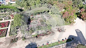 Aerial picture of a rose garden at a park