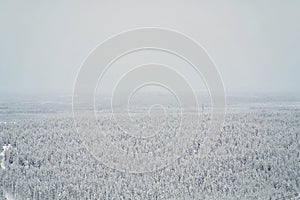 Aerial picture of a snowy coniferous forest on a foggy winter day in Lapland, Finland. Fog, snow and coniferous trees, confers,