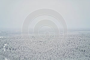 Aerial picture of a snowy coniferous forest on a foggy winter day in Lapland, Finland. Fog, snow and coniferous trees, confers,