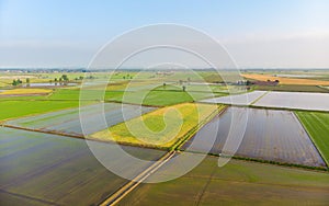 Aerial: rice paddies, flooded cultivated fields farmland rural italian countryside, agriculture occupation, sprintime in Piedmont,