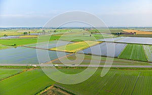 Aerial: rice paddies, flooded cultivated fields farmland rural italian countryside, agriculture occupation, sprintime in Piedmont,