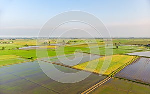 Aerial: rice paddies, flooded cultivated fields farmland rural italian countryside, agriculture occupation, sprintime in Piedmont,