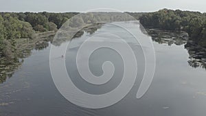 Aerial of a river surrounded by a dense forest reflected in waters in the Metropark Michigan