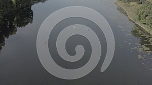 Aerial of a river surrounded by a dense forest reflected in waters in the Metropark Michigan