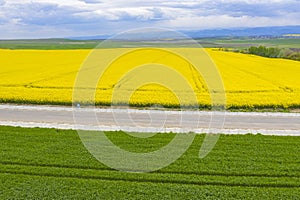 Aerial road and agriculture fields view