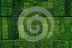 Aerial satellite view of lush green farmland fields in european countryside, typical village town