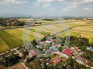 Aerial scene Malays village and harvested paddy field