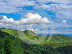 AERIAL: Scenic drone view of forest covered hills in idyllic Logarska Valley