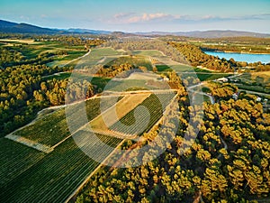 Aerial scenic Mediterranean landscape with cypresses, olive trees, vineyards and Pond of Bonde in Southern France photo