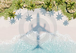 Aerial Shadow of Airplane on Tropical Beach with Palm Trees