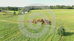 Aerial shooting of the herd of young horses is grazing on a meadow