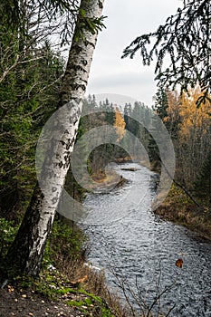 Aerial shot of the Amata river during cloudy and gloomy autumn day in Latvia