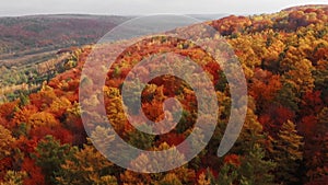 Aerial shot: Amazing Autumn Foliage Forest with red, orange, yellow and green colors.