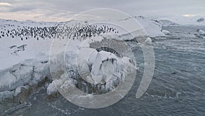 Aerial shot Antarctica penguins colony.