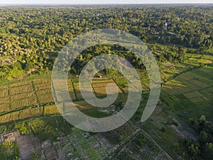 Aerial shot of argiculture fields at Pemba island, Zanzibar archipelago. Lush jungle forest on the Hills and flaps on