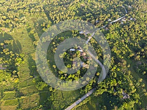 Aerial shot of argiculture fields at Pemba island, Zanzibar archipelago. Lush jungle forest on the Hills and flaps on