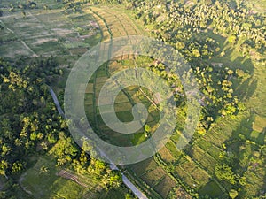 Aerial shot of argiculture fields at Pemba island, Zanzibar archipelago. Lush jungle forest on the Hills and flaps on