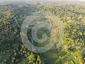 Aerial shot of argiculture fields at Pemba island, Zanzibar archipelago. Lush jungle forest on the Hills and flaps on