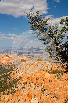 Aerial shot of the beautiful  Bryce Canyon National Park in Utah, USA