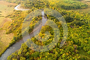 Colorful autumn forest and small river landscape