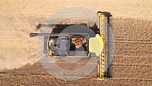 Aerial shot of combine gathering rye or wheat crop. Flying over harvester working in farmland at sunny day. Harvesting