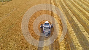 Aerial shot of a combine harvester in action on wheat field