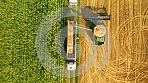 Aerial shot of combine loading off corn grains into tractor trailer on farmland. Filmed in UHD 4k video