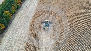 Aerial shot of combine working in farmland. Flying over harvester slowly riding through field and gathering corn crop