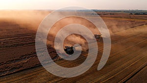 Aerial shot: combines harvesting at summer sunset