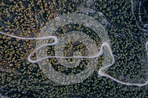 Aerial shot of a curvy road on a mountain in a forest