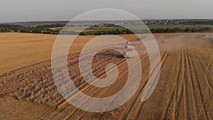 Aerial shot: few combines harvest weat at sunset.