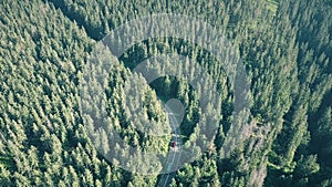 Aerial shot of a fir tree forest and European rural car road