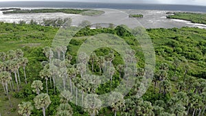 Aerial shot. Flying above the Green Lush Wild Ecuatorial Rain forest in Stormy Weather at Tropical island Pemba at