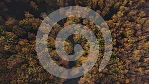 Aerial shot of a footpath between orange-red forests at sunset in Slovak forests. Autumn fairy tale. Variety and colourfulness of