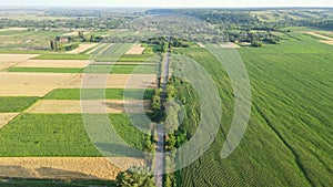 Aerial shot of green field at agricultural farm. Village fields view from above
