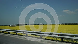 Aerial Shot of Grey Car Driving on Road Next to Field of Yellow Flowers and Farmland