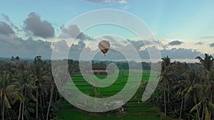 Aerial shot of a hot air balloon that is flying over the big green rice field. Travell to Bali concept.