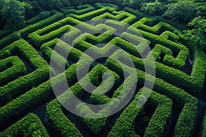 Aerial shot of a lush green maze garden, symbolizing problem-solving or adventure, for games or educational apps advertising