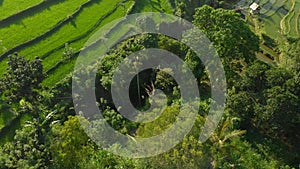 Aerial shot of the marvelous rice teraces in mountains during sunset