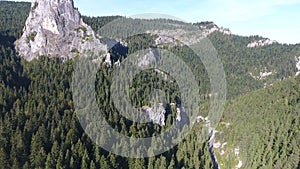 Aerial Shot Of Montains, summer time, pine forest