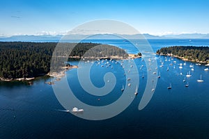 Aerial shot of Newcastle Island near Nanaimo, Vancouver Island, BC Canada