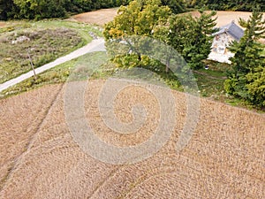 Aerial shot of an old corn field.